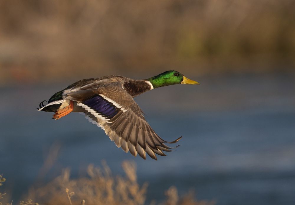 Photograph by Vasos Vasiliou