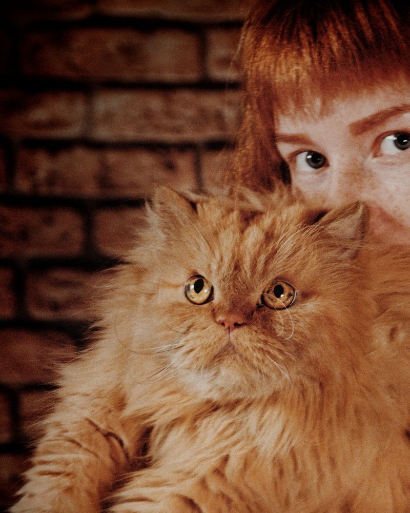 Photograph by Ирина Ворожейкина