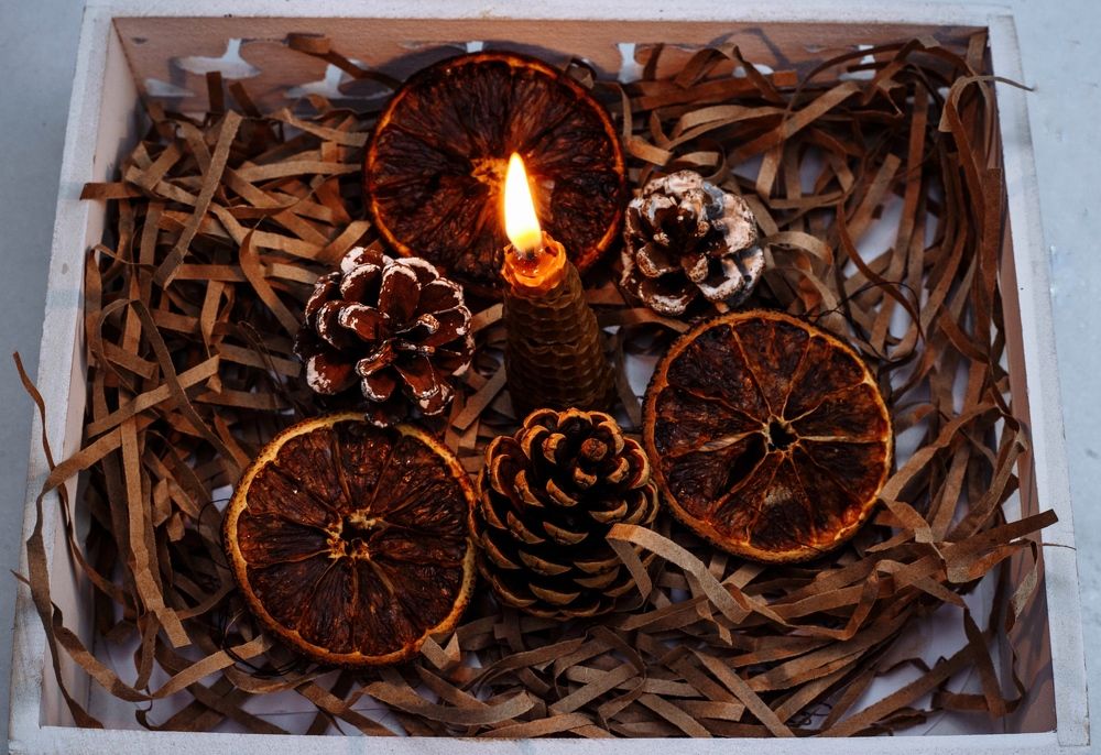 Фотография автора Анна Роганова