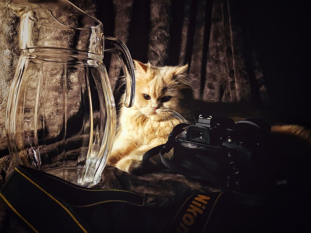 Photograph by Екатерина Якушева