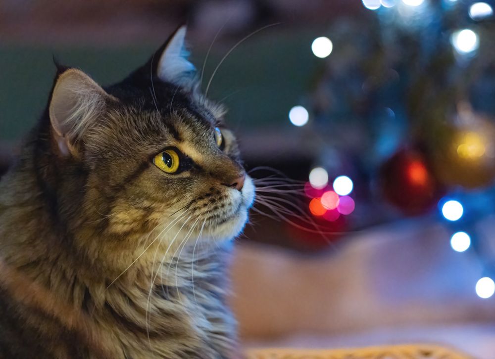 Photograph by Парфентьев Антон