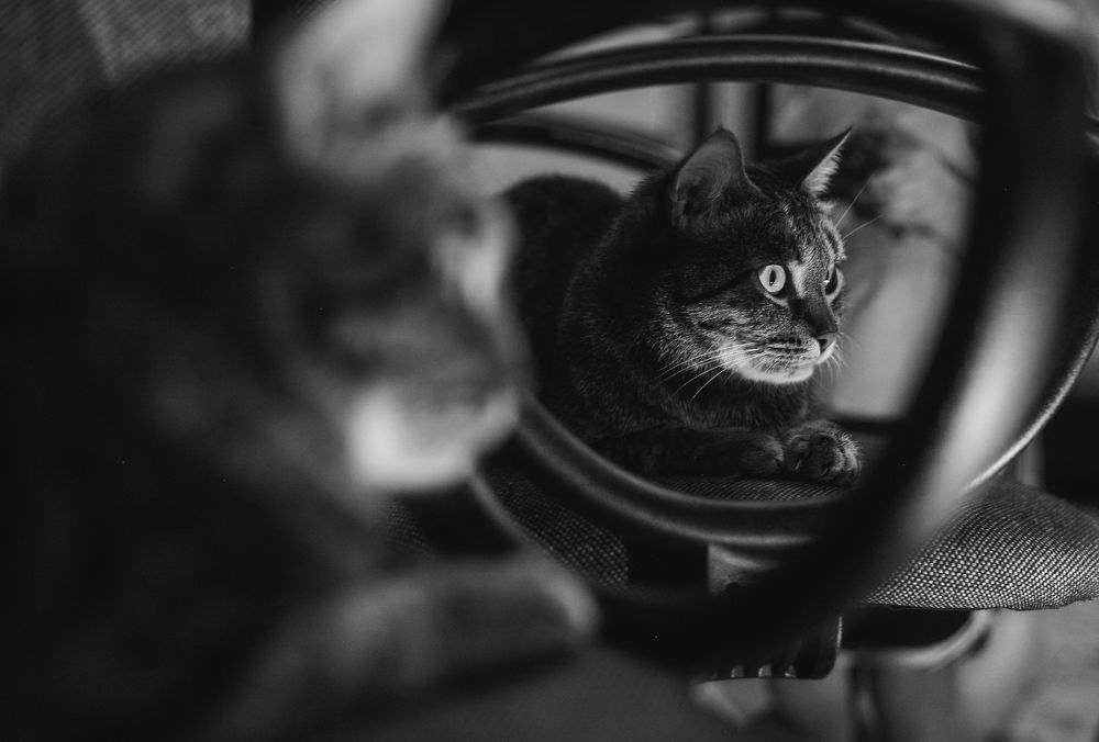 Фотография автора Анна Роганова