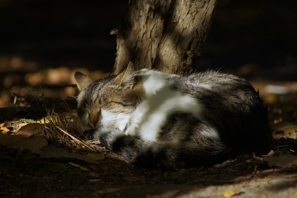 Photograph by Олег Кабанец