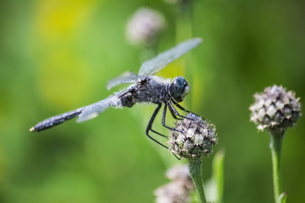 Photograph by Юлия Серазетдинова