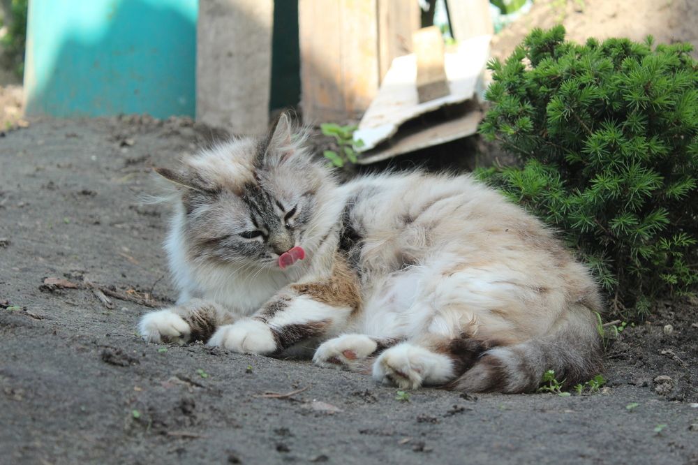 Photograph by Кристина Шоба