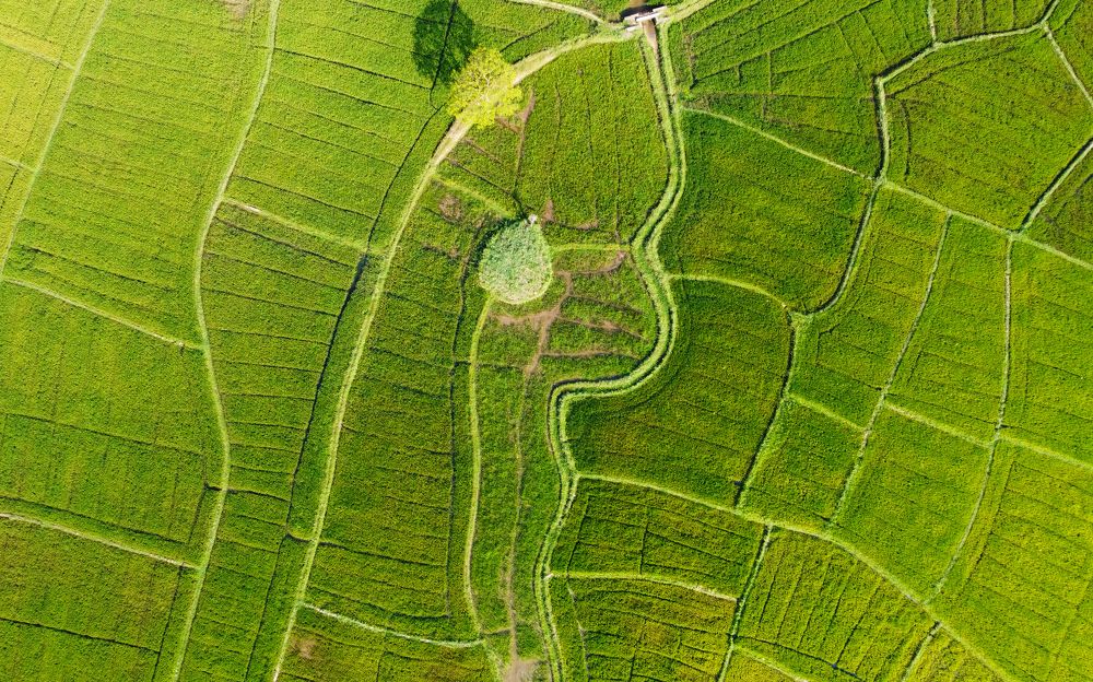 Photograph by Павел Минкевич