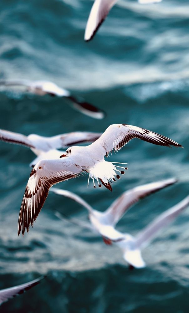 Photograph by Benson Mathew