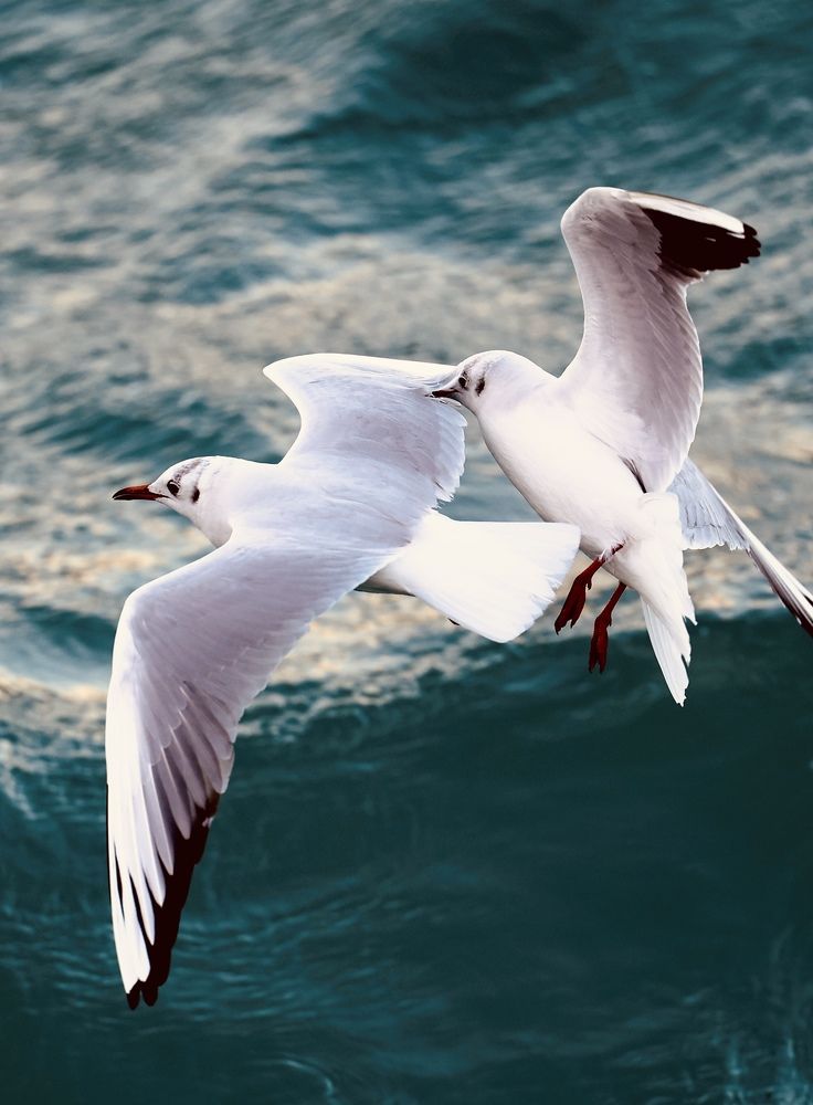 Photograph by Benson Mathew