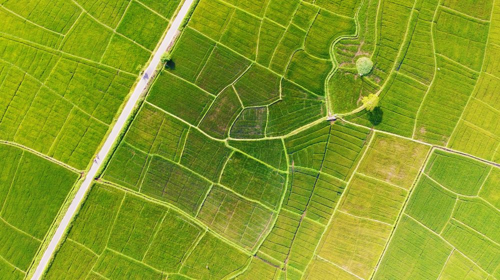 Photograph by Павел Минкевич