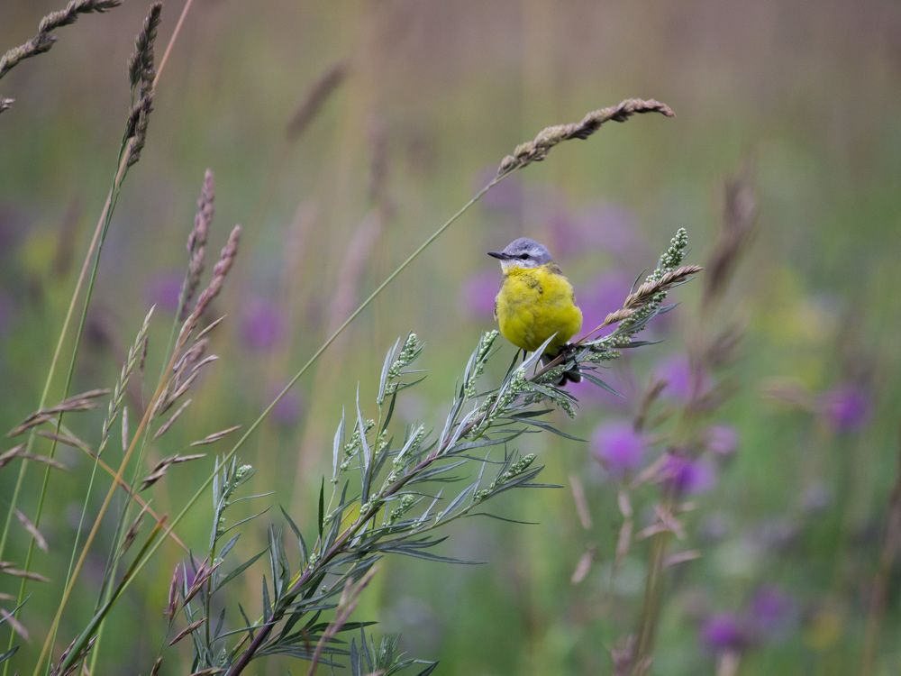 Photograph by Юлия Серазетдинова