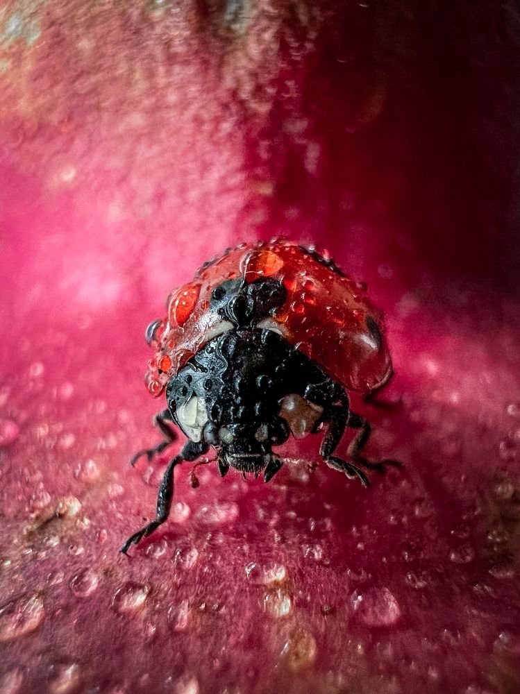 Photograph by Дамир Давронов