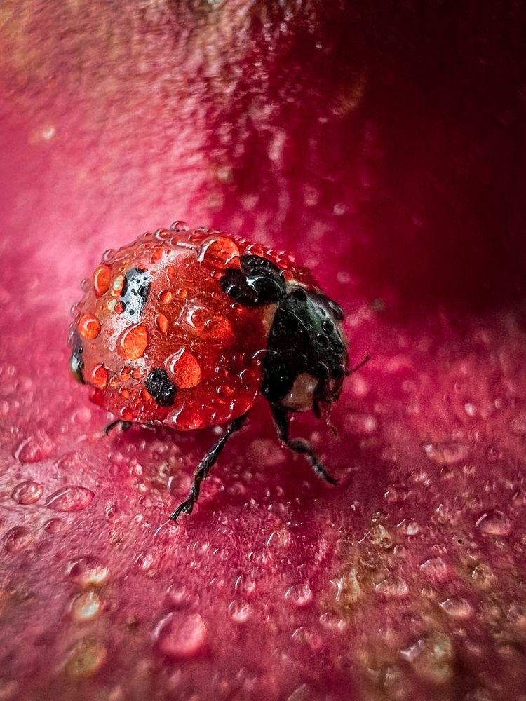 Photograph by Дамир Давронов