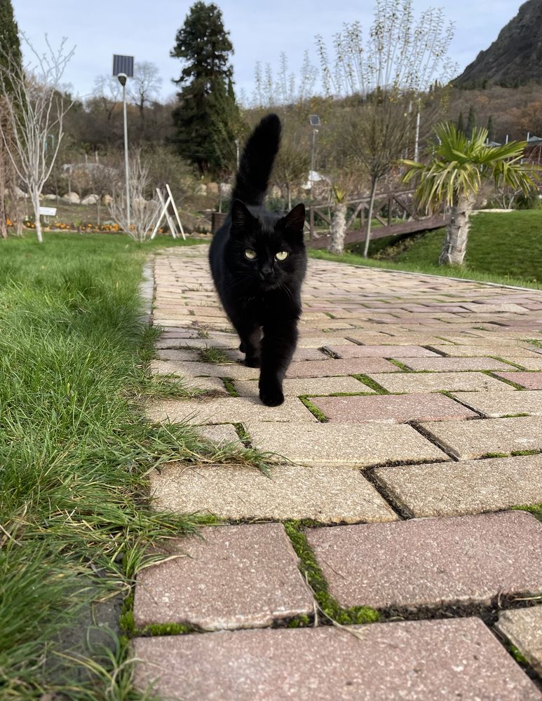 Photograph by Evgewa