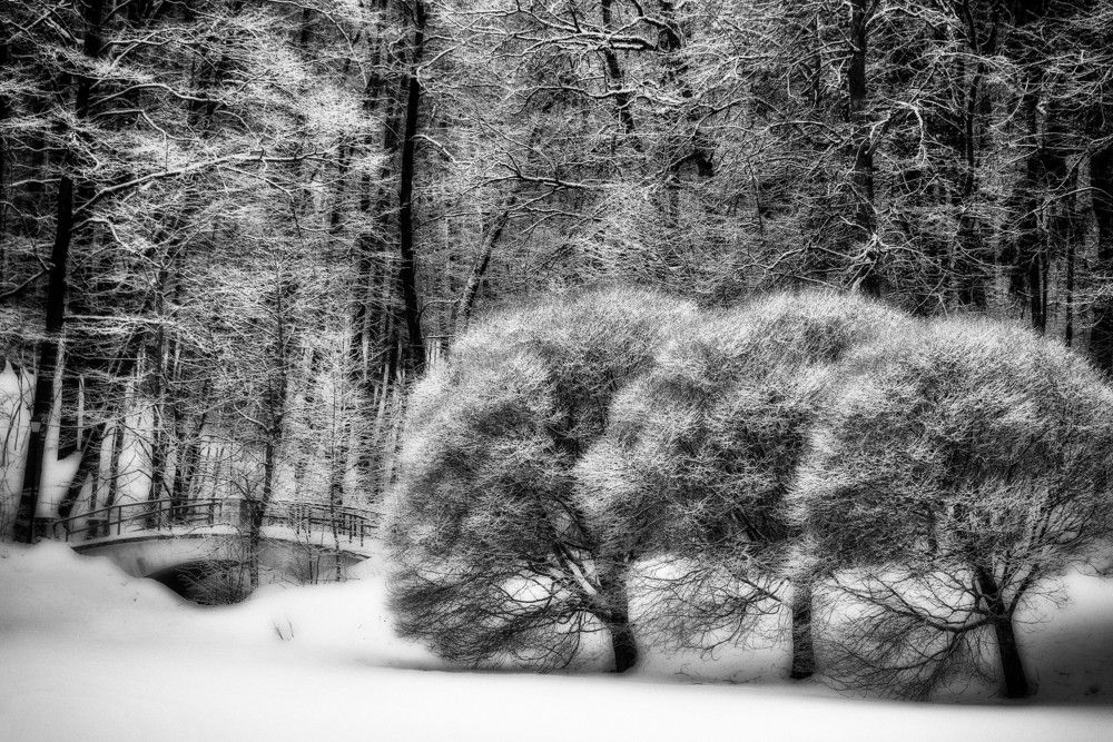 Photograph by Владимир Брагилевский