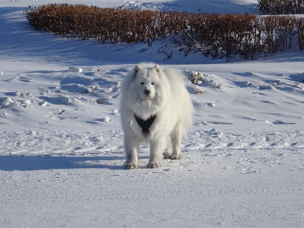 Photograph by Света Раннева