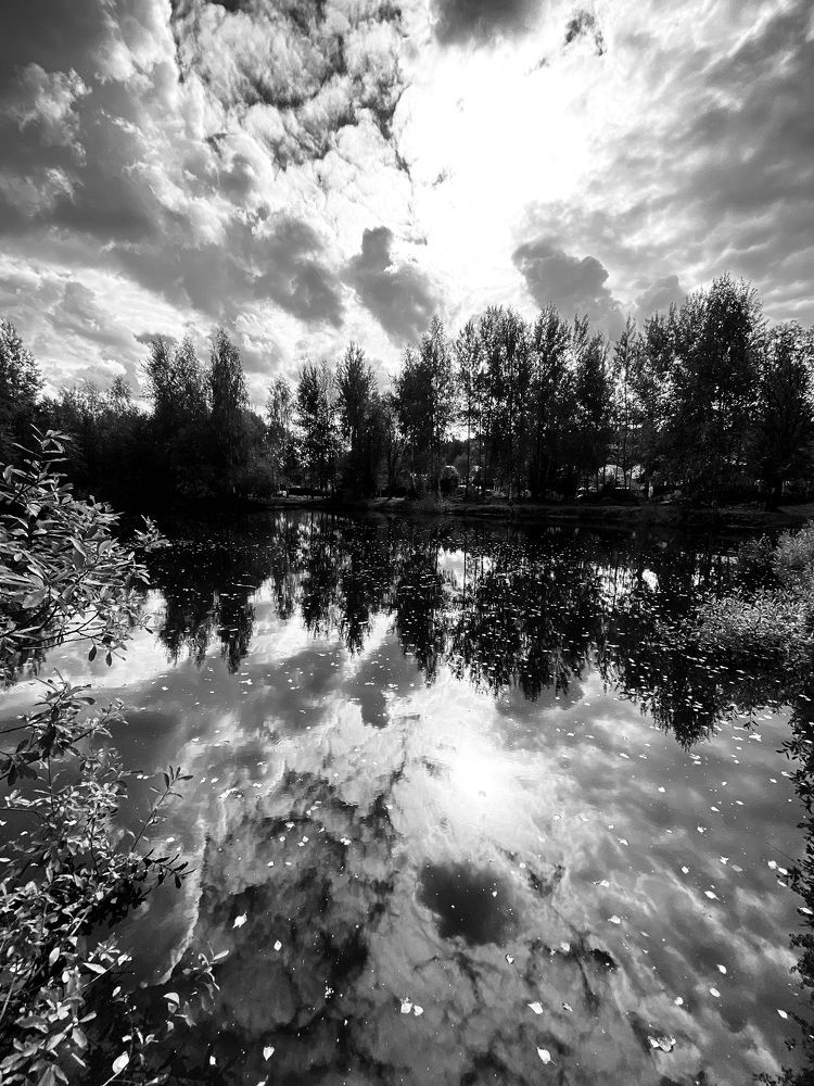 Photograph by Наталья Николаева