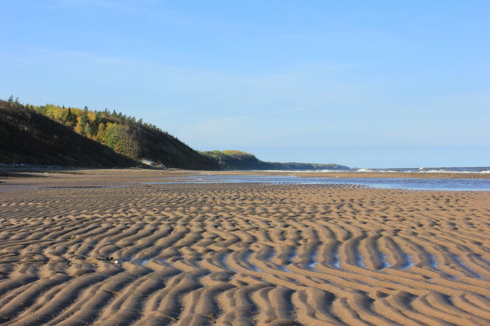 Прогулка по берегу Белого моря
