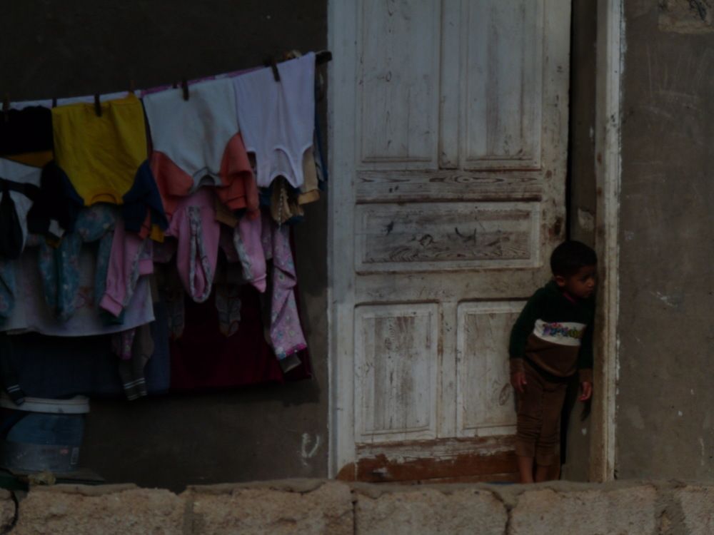 Photo #8770858