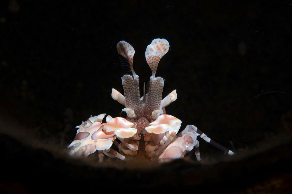 Photograph by Deniz muzaffer Gokmen