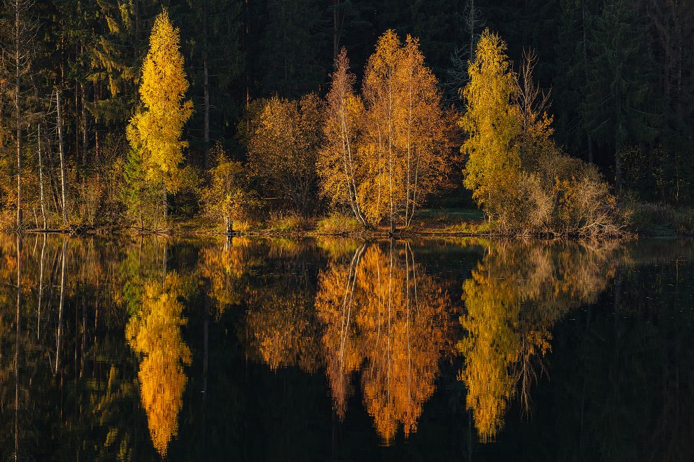 Осенняя симметрия