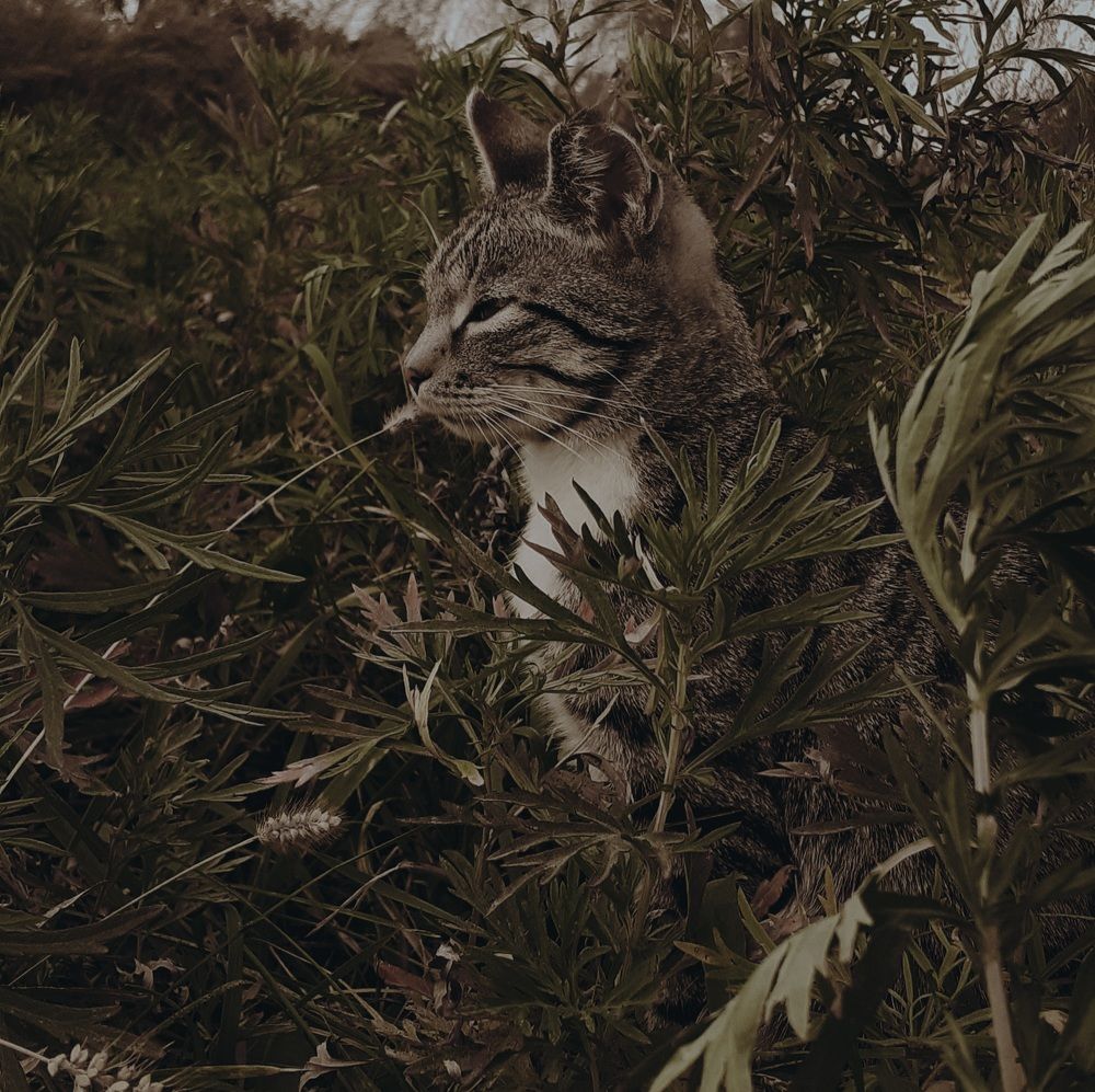 Photograph by Кристина Присяжная