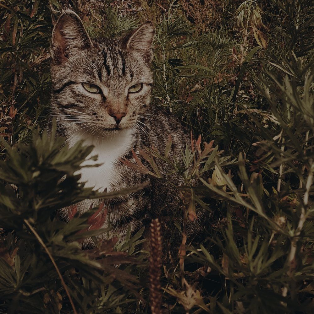 Photograph by Кристина Присяжная