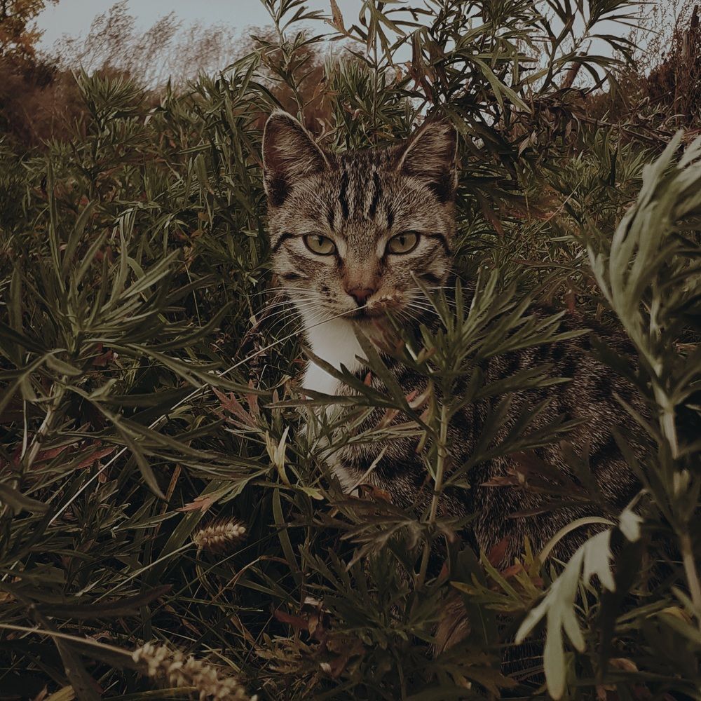 Photograph by Кристина Присяжная