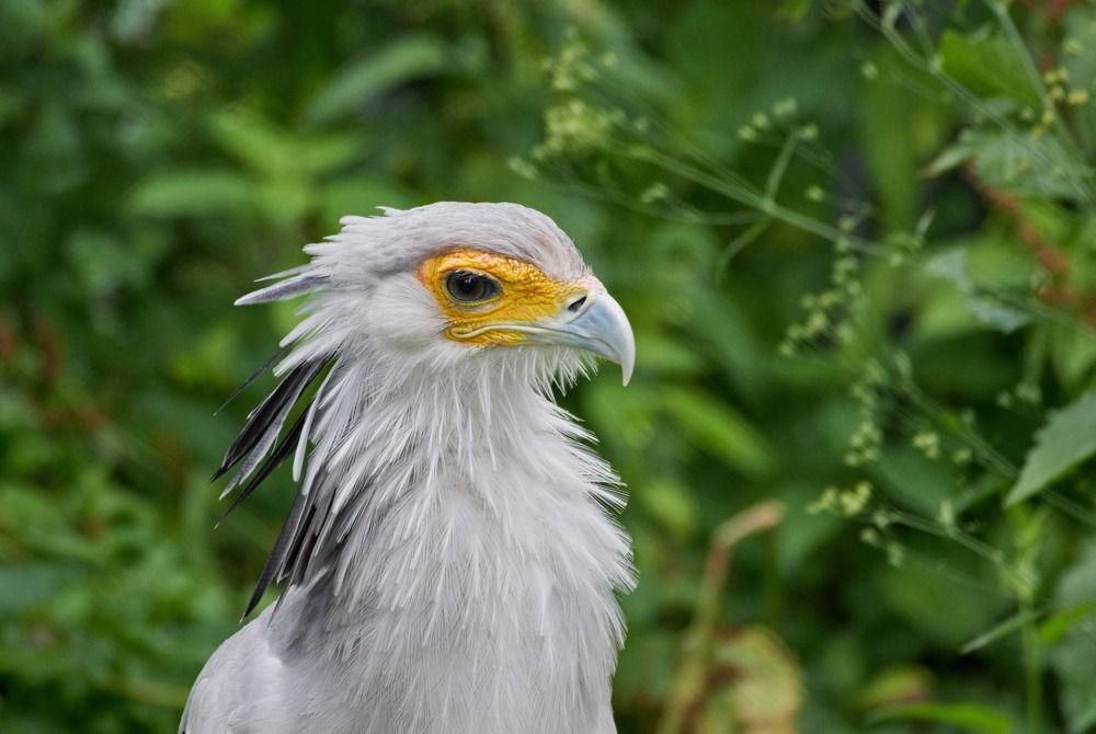 Вот такой секретарь -:))
