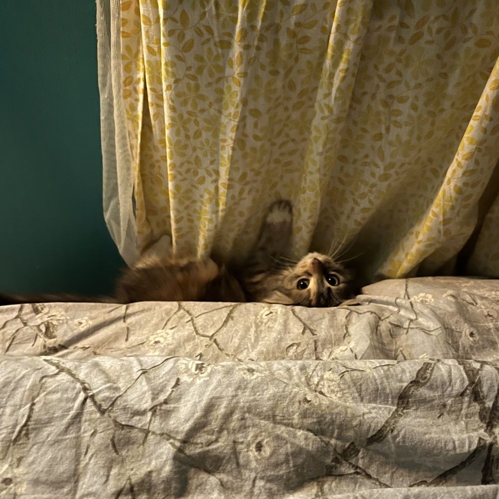 Photograph by Kirill E.