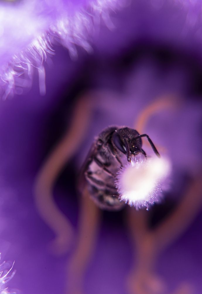 0%-фотошоп