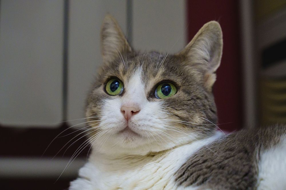 Photograph by Alexander Shershnev