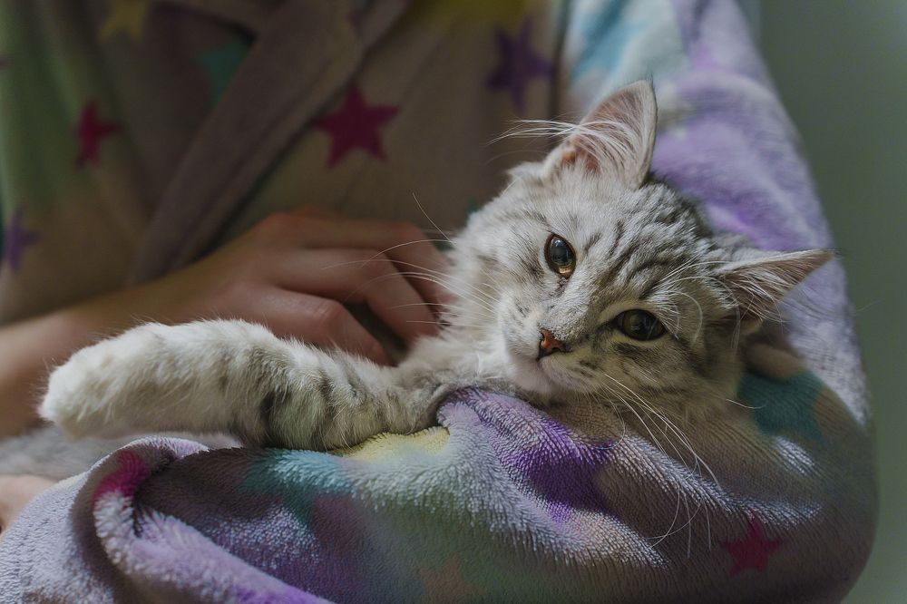 Photograph by Alexander Shershnev