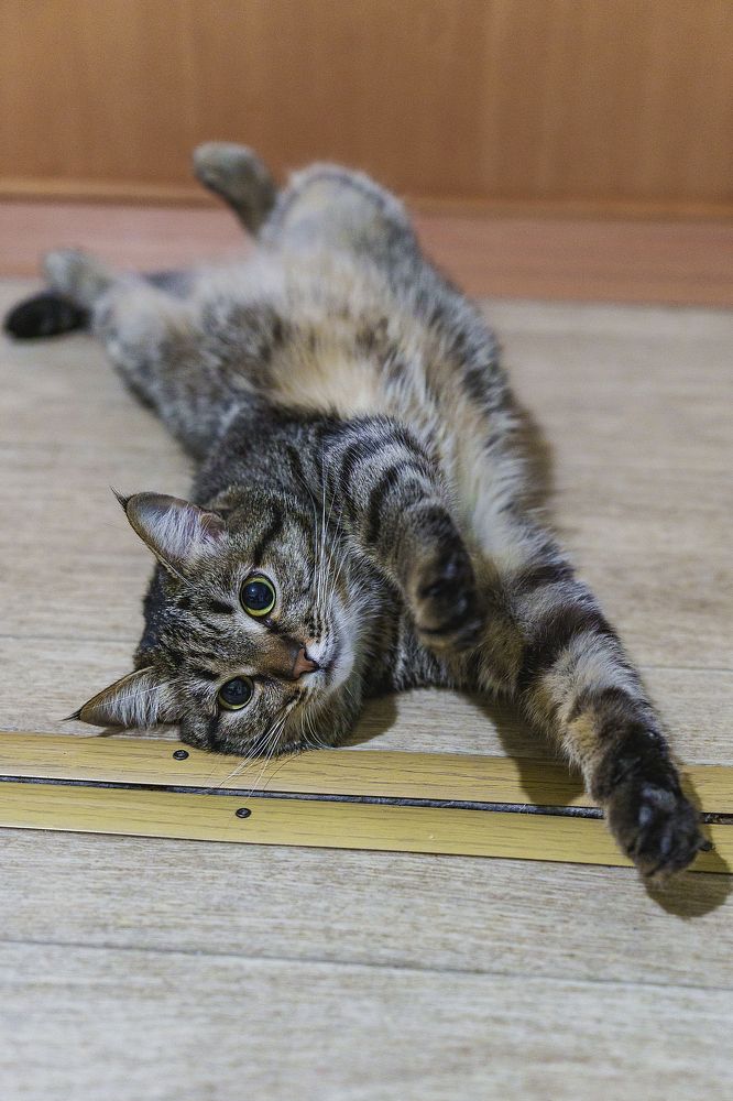 Photograph by Alexander Shershnev