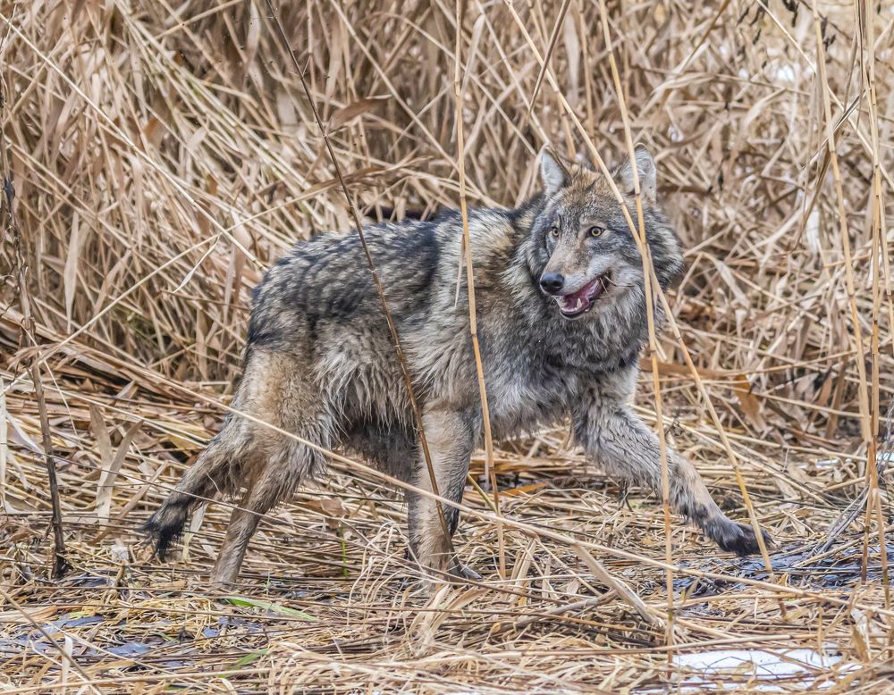 Photograph by Сергей Савчук