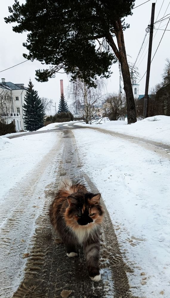 Фотография автора Роман Зотов