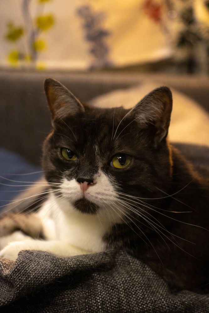 Photograph by Ксения Щукина