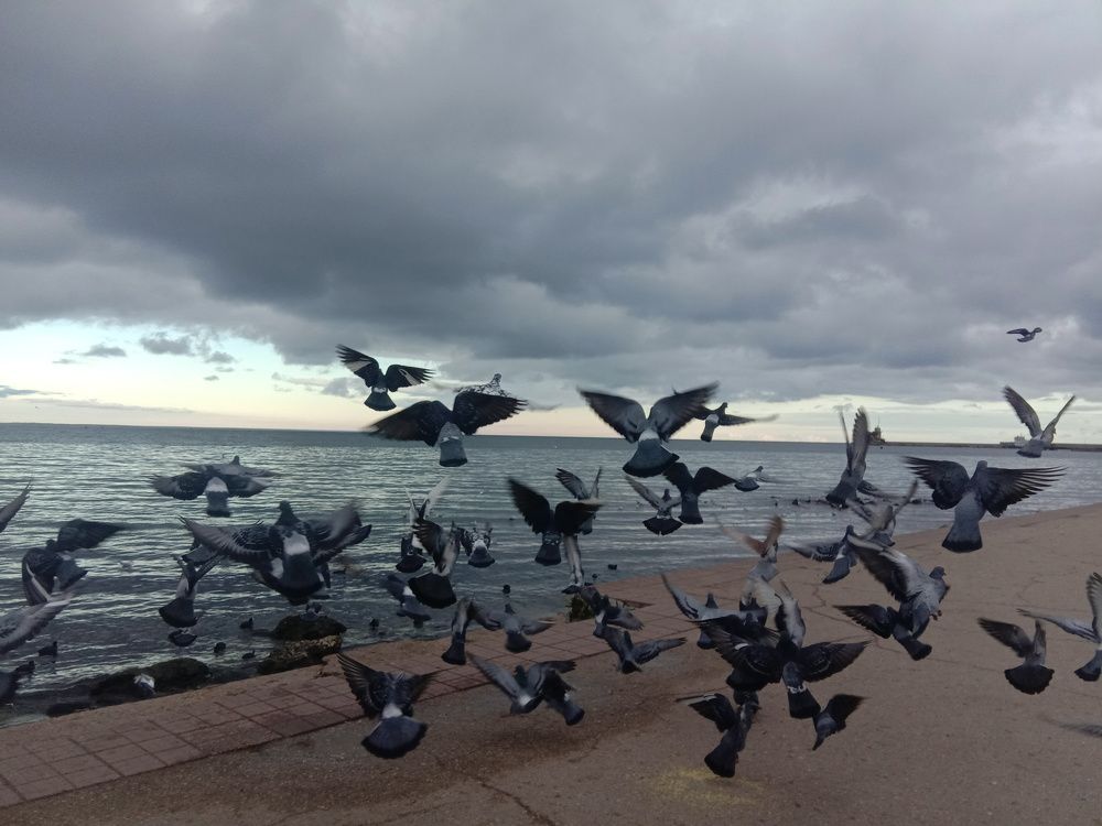 Photograph by Стаскевич Татьяна