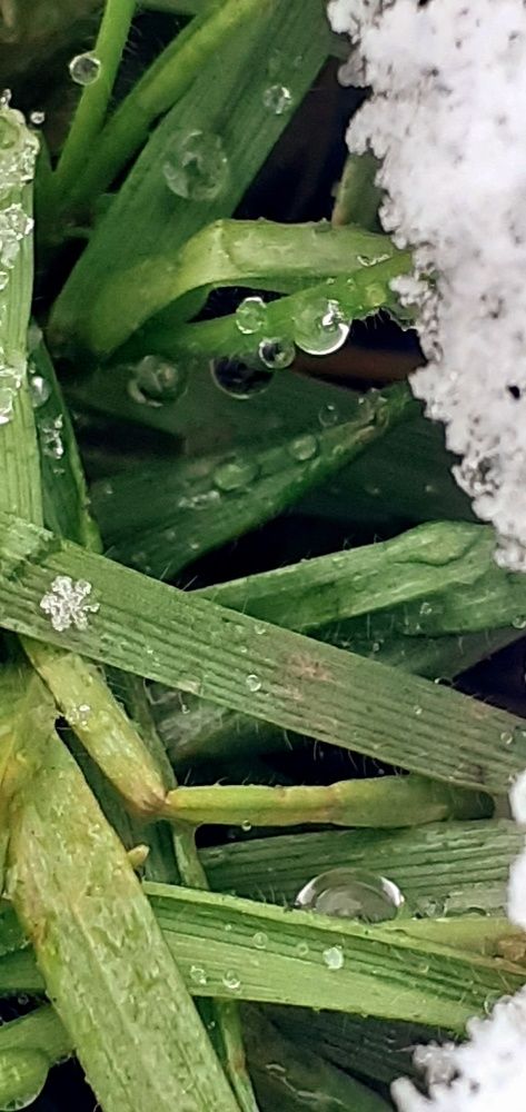 Photograph by Евгения Ульянова