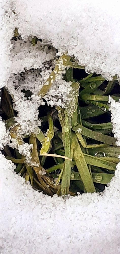 Photograph by Евгения Ульянова