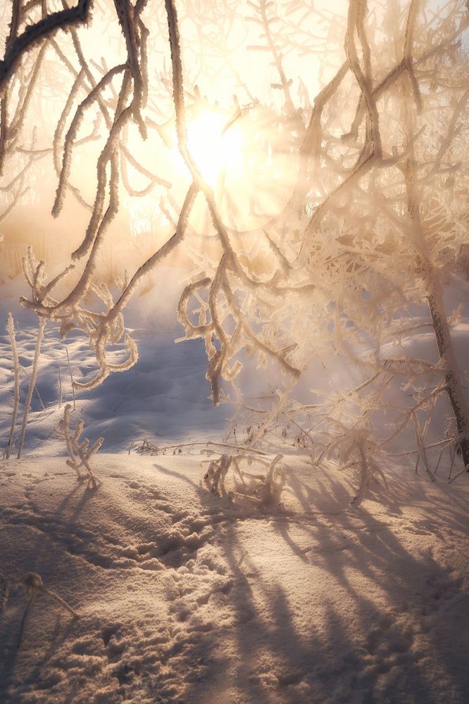 Photograph by Света Богоявленская