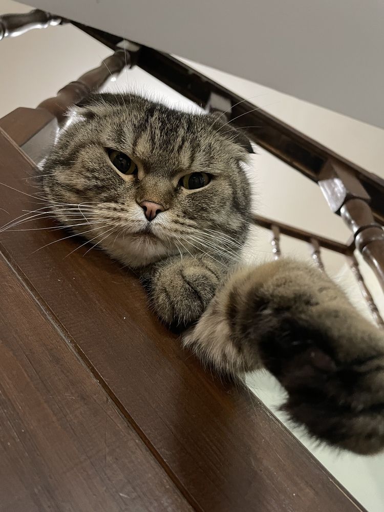 Photograph by Evgewa