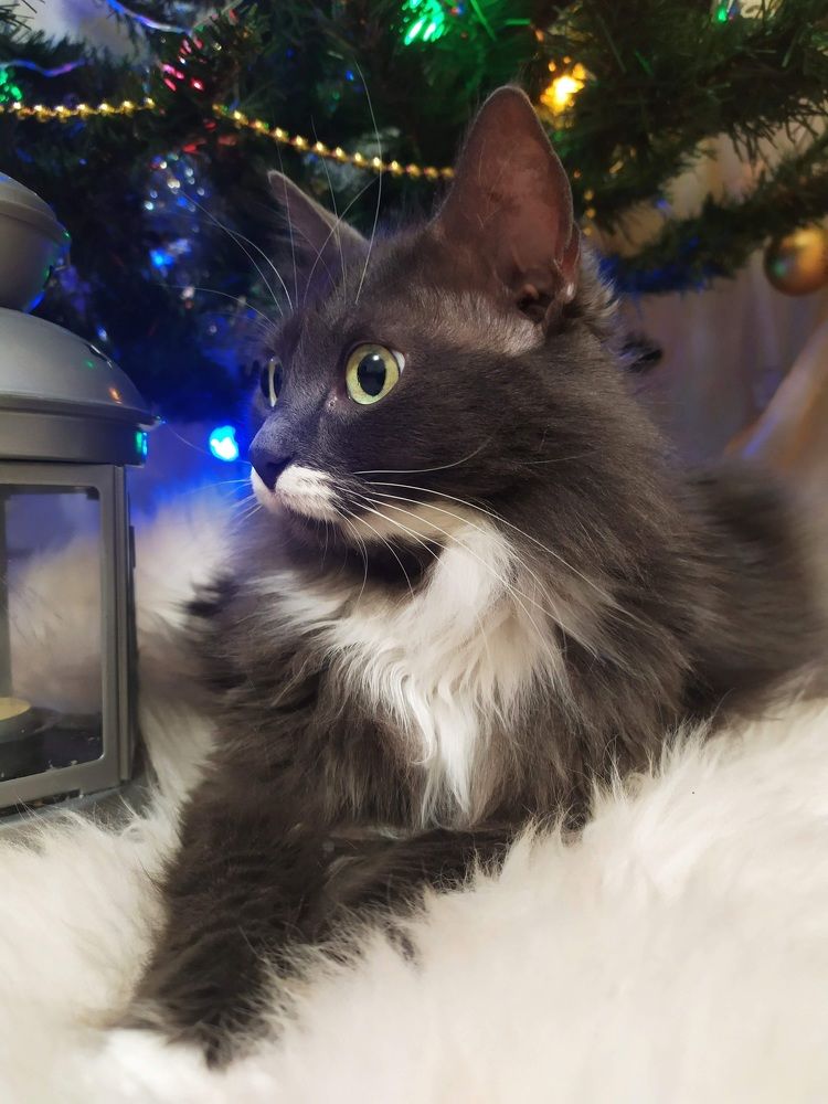 Photograph by Леончик Ирина