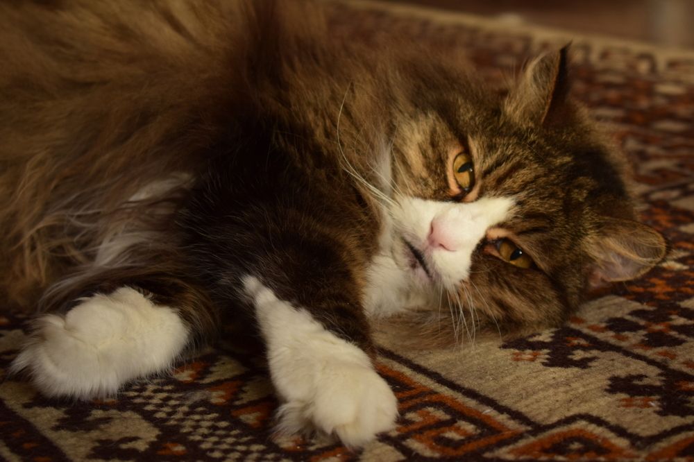 Photograph by Наталья Еременко