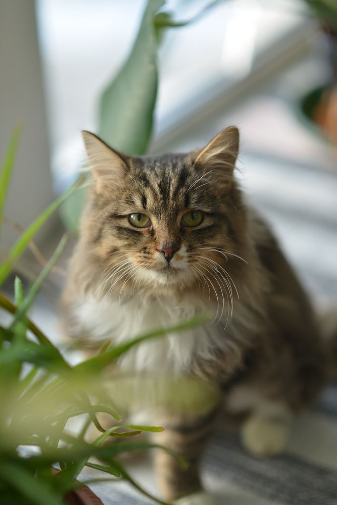 Photograph by Олеся Парфенова