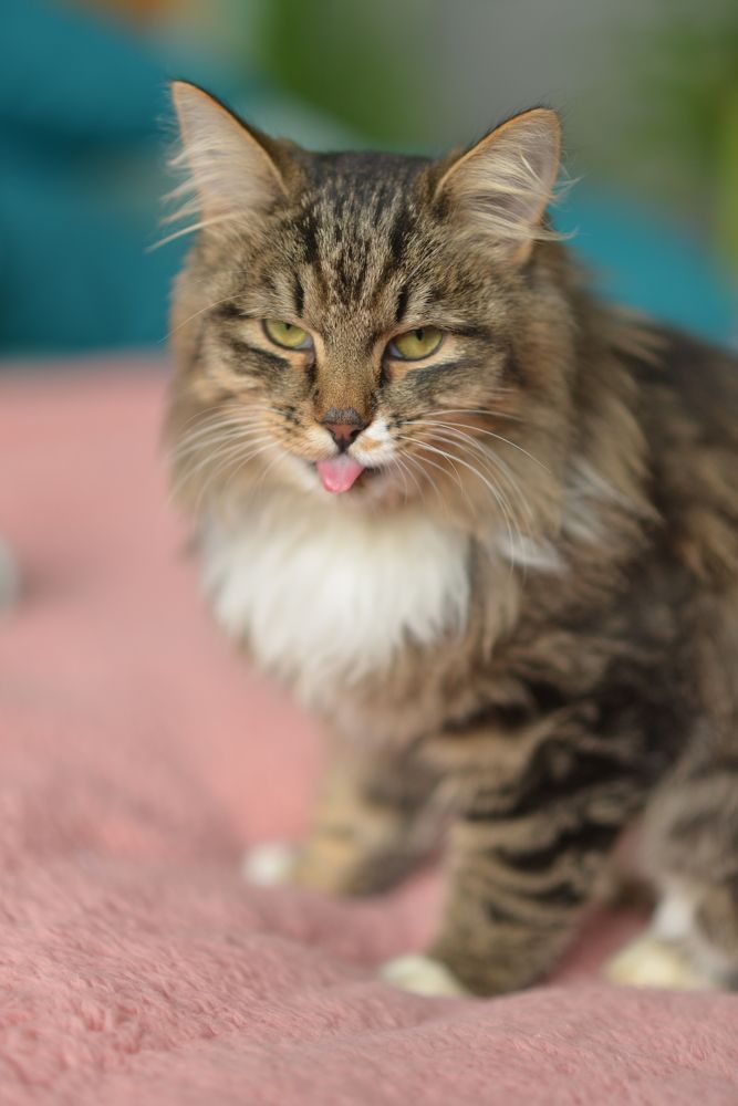 Photograph by Олеся Парфенова