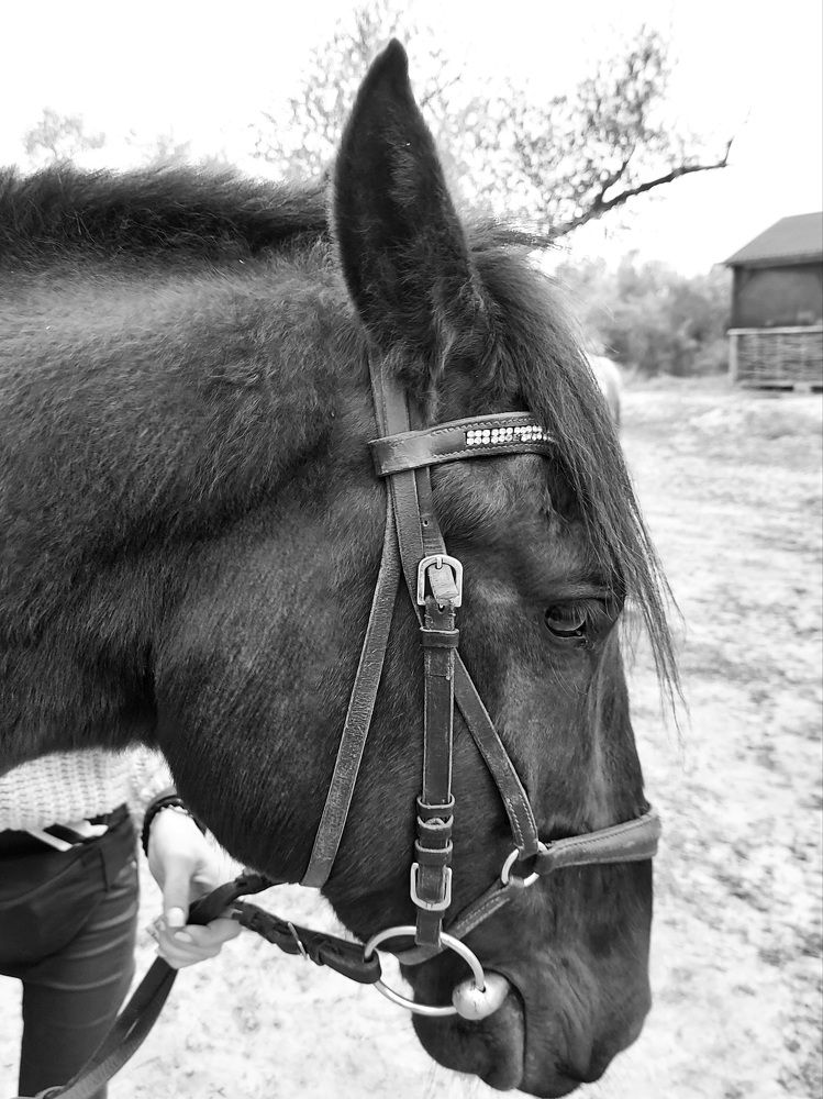 Photograph by Татьяна Бородина