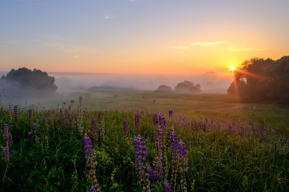 Photograph by Александр Корженков