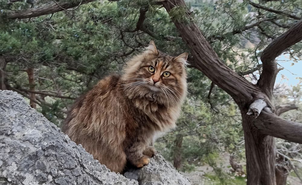 Photograph by Евгений Самулев