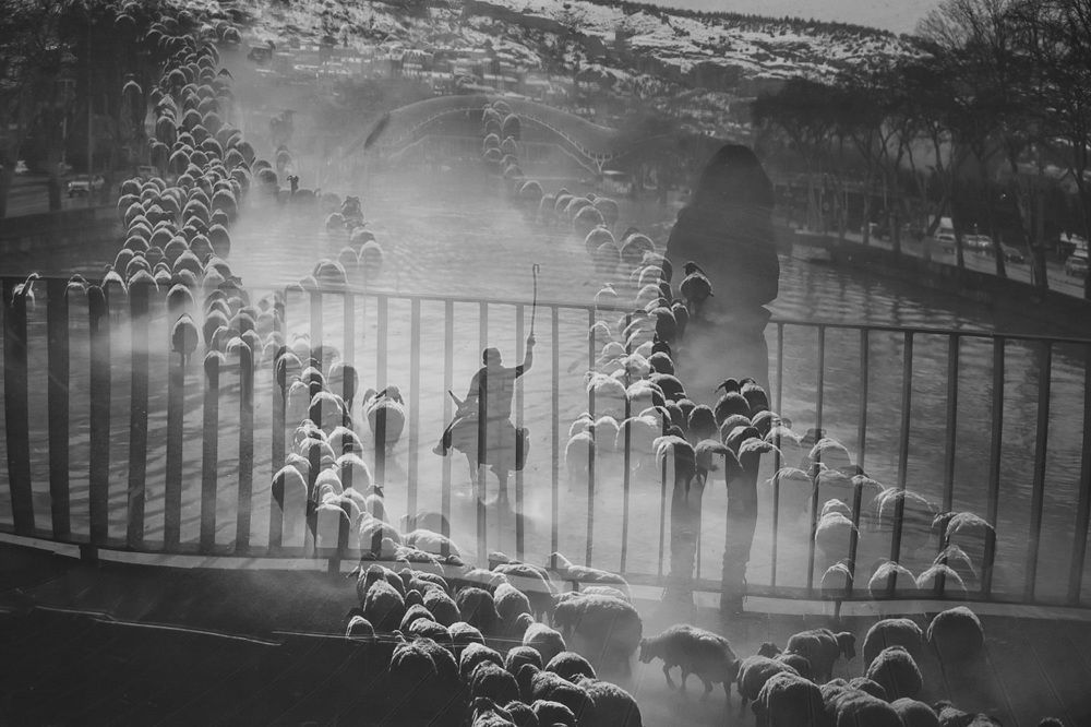 Photograph by Nunu Gambashidze