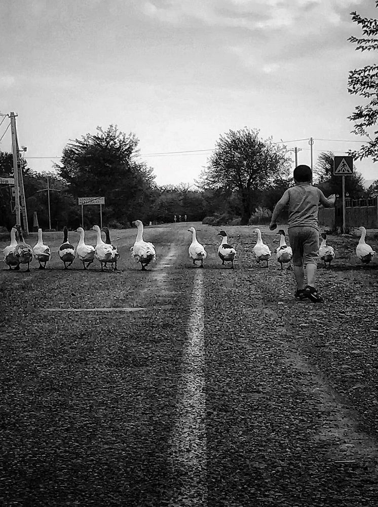 Photograph by Nunu Gambashidze